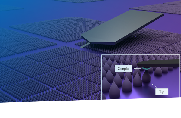 Reverse Tip Sample (RTS) Scanning Probe Microscopy