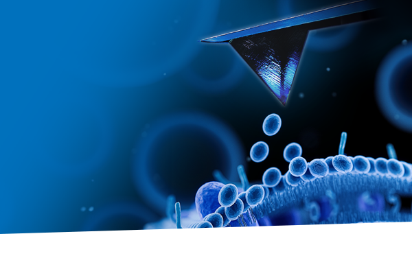 Webinar : Performing Accurate Force Measurements on Biological and Soft Matter