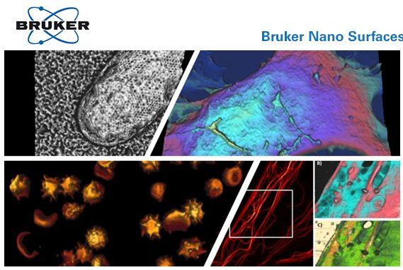 Webinar : Bio-AFM Applications in Cell Study