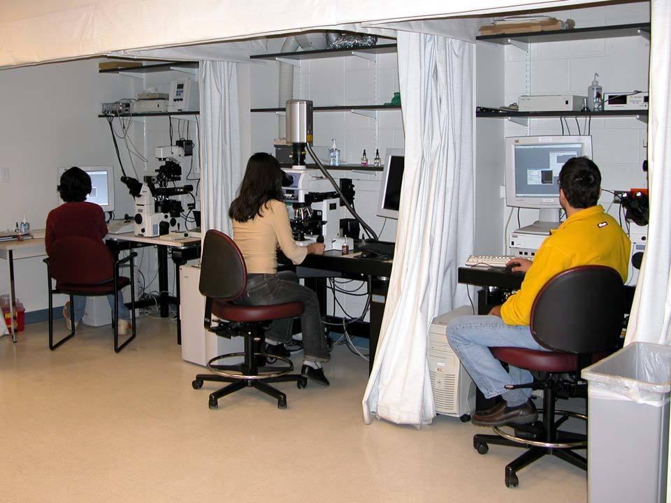 Webinar : Operating an Imaging Core Facility During a Pandemic