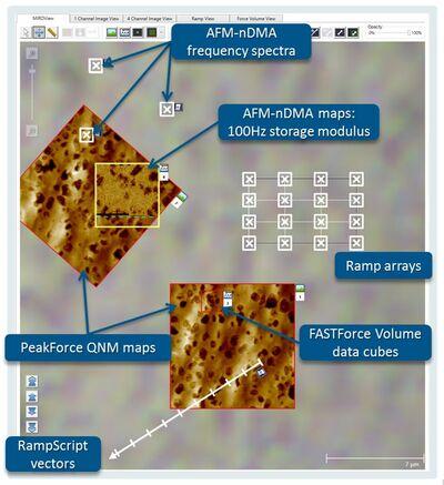 AFM-based Nanoscale DMA