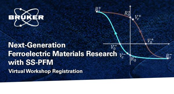 Virtual Workshop : Next-Generation Ferroelectric Materials Research
