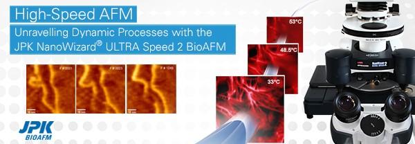 Webinar : Unravelling Dynamic Processes with the New JPK NanoWizard ULTRA Speed 2 BioAFM