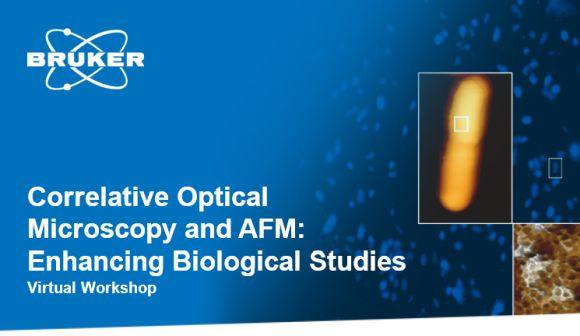 Webinar : Enhancing Biological Studies : Correlative Optical Microscopy and AFM