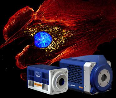 Andor Launches New ZL41 Cell and Sona sCMOS Cameras
