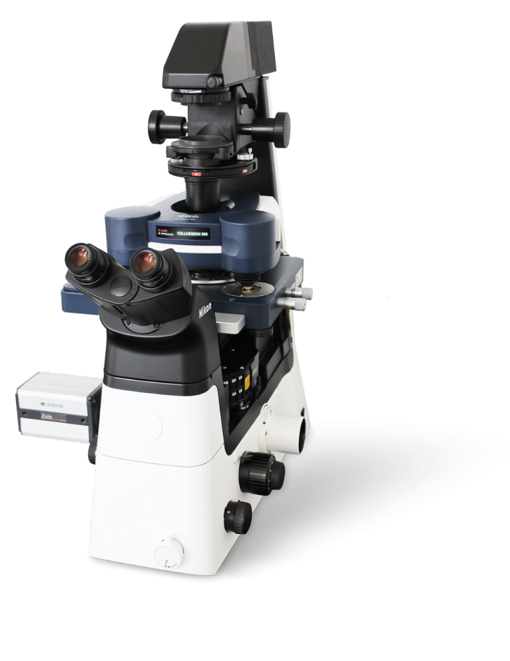 Bruker CellHesion 300 AFM