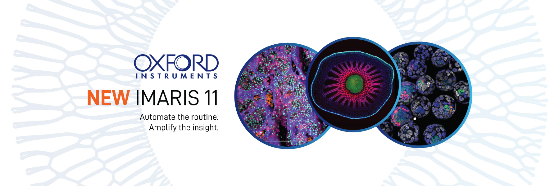 Oxford New Imaris 11